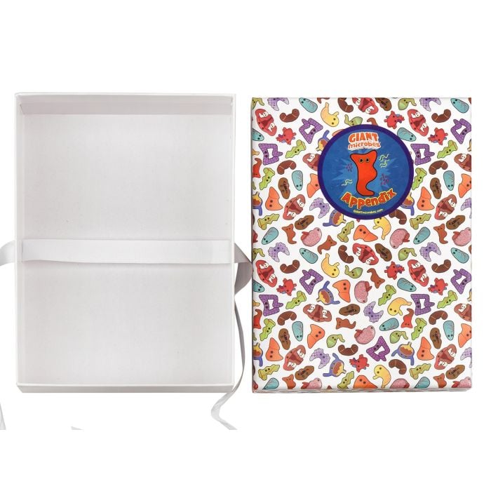 Appendix gift box open empty Appendix gift box open empty