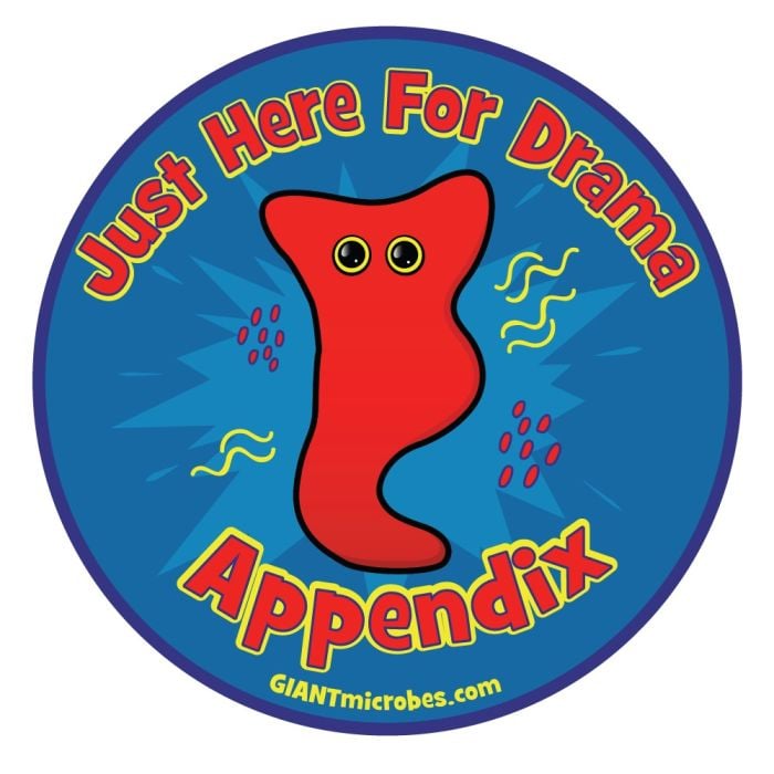 Appendix vinyl sticker