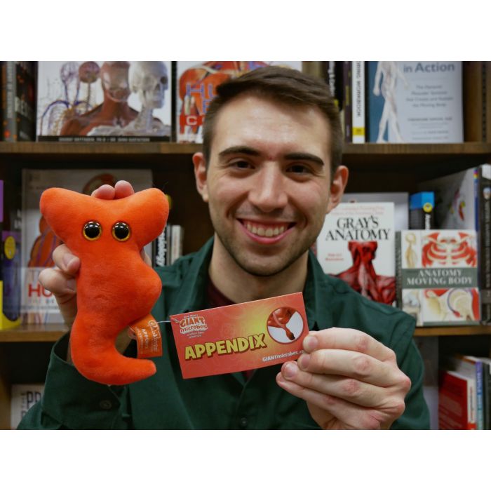 Man holdiing Appendix plush Man holdiing Appendix plush