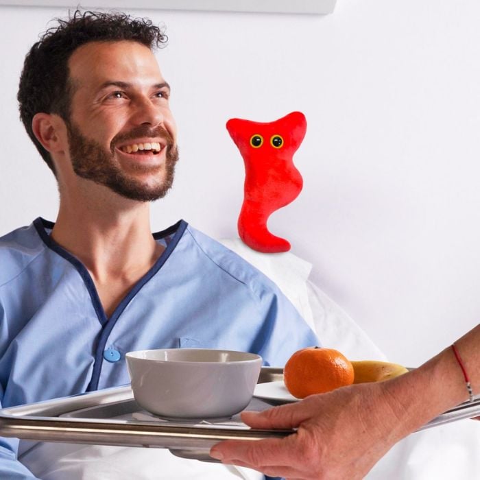 Appendix plush in hospital Appendix plush in hospital