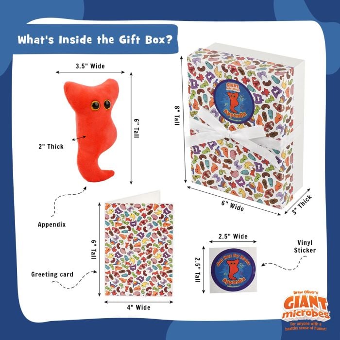 Appendix gift box full dimensions