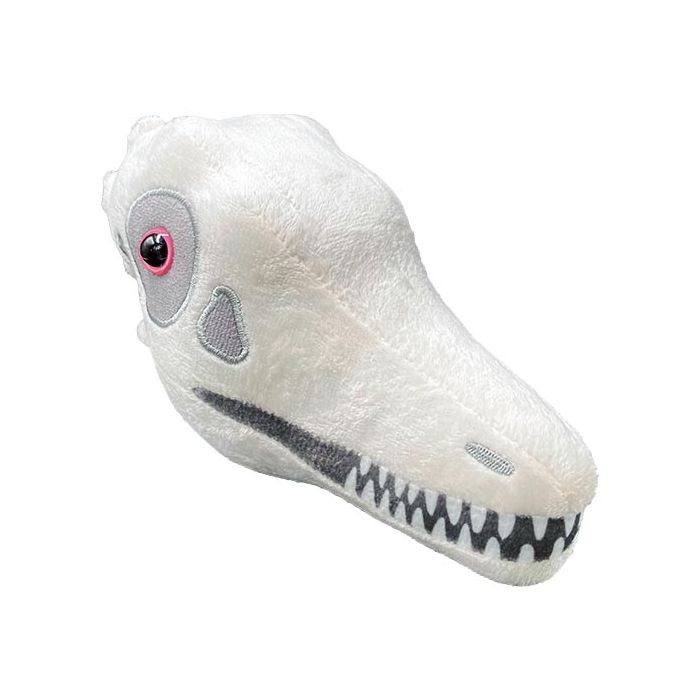 Archaeopteryx plush skull angle