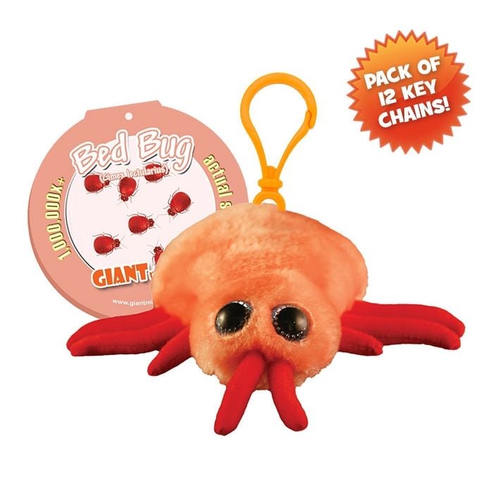 Bed Bug Key Chain Pack