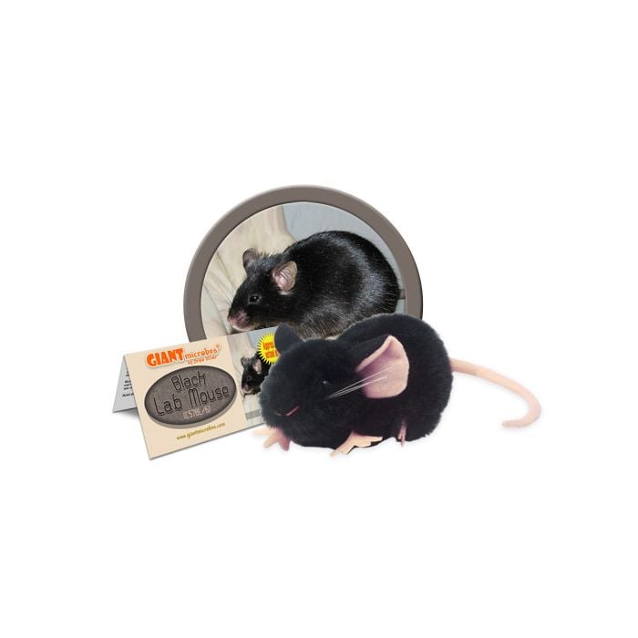 Black Lab Mouse cluster