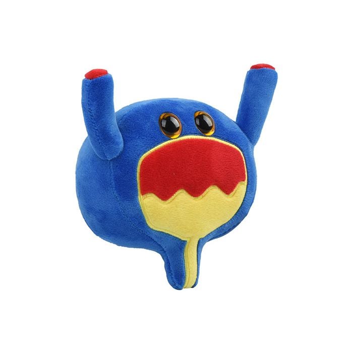 Bladder plush angle