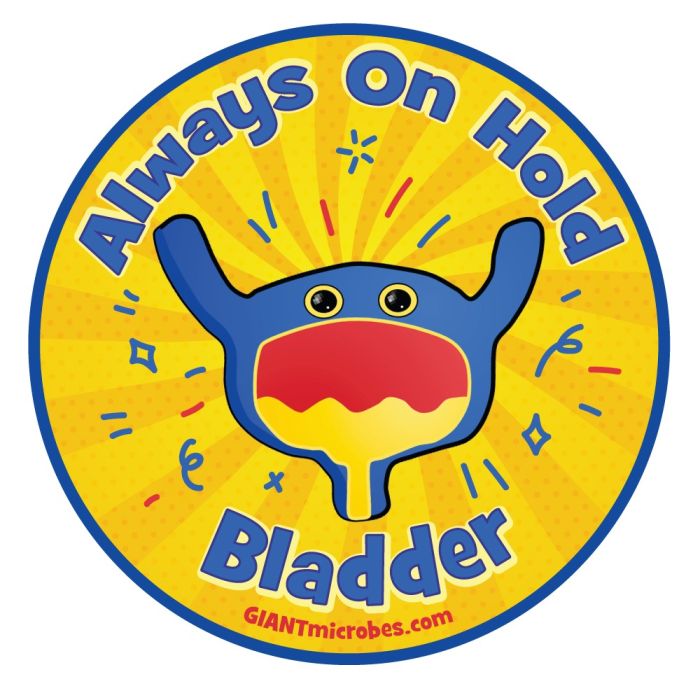 Bladder vinyl sticker