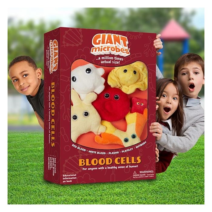 Blood Cells box kids