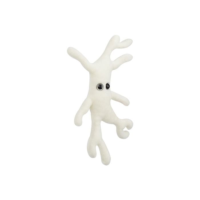 Bone Cell plush angle