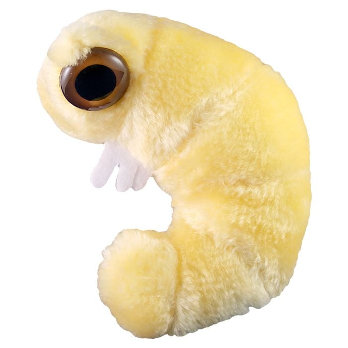 Bookworm plush
