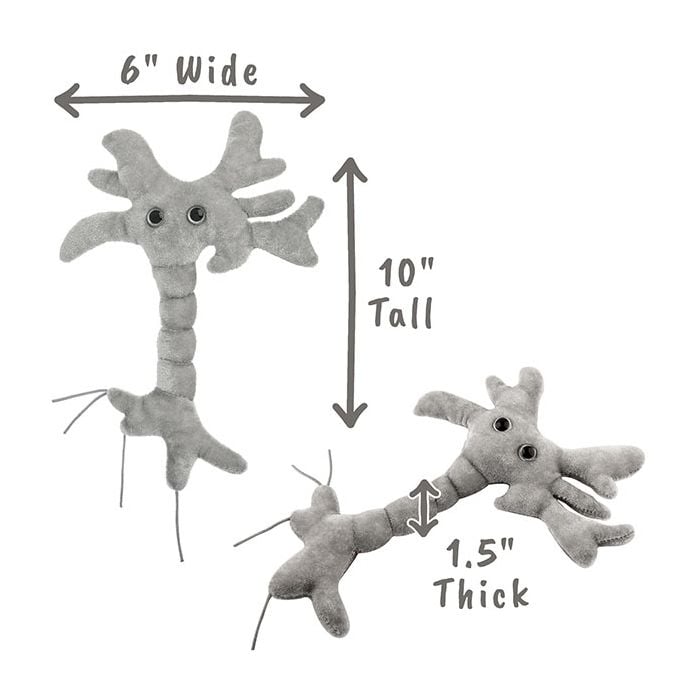 Brain Cell plush dimensions