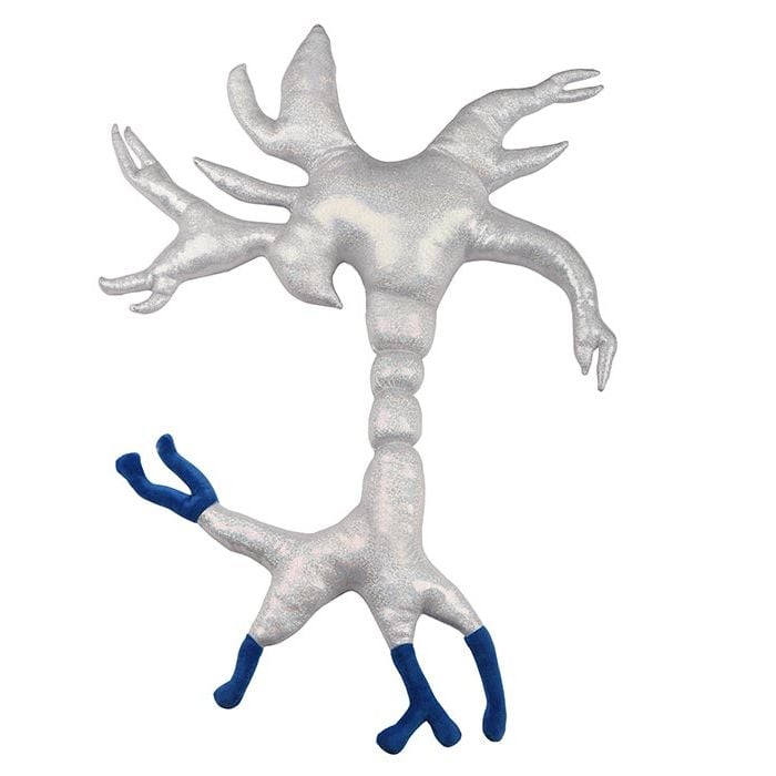 Brain Cell gigantic new back