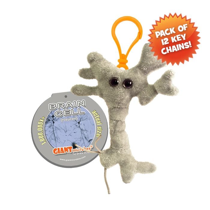 Brain Cell KC Pack
