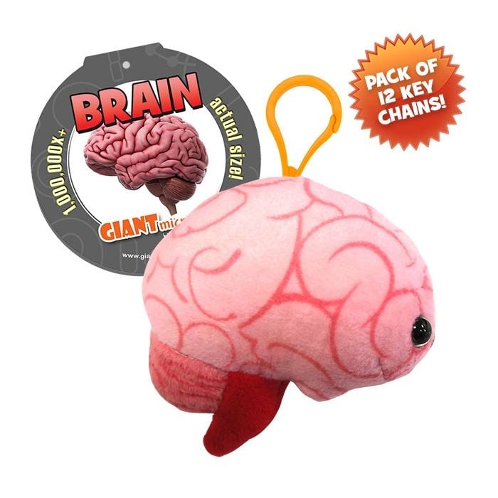Brain Key Chain 12 Pack
