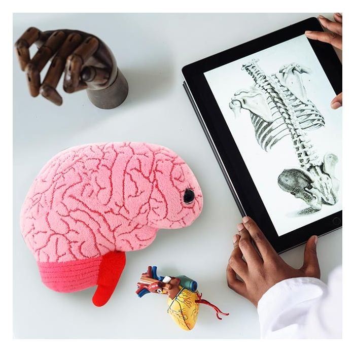 Brain study desk