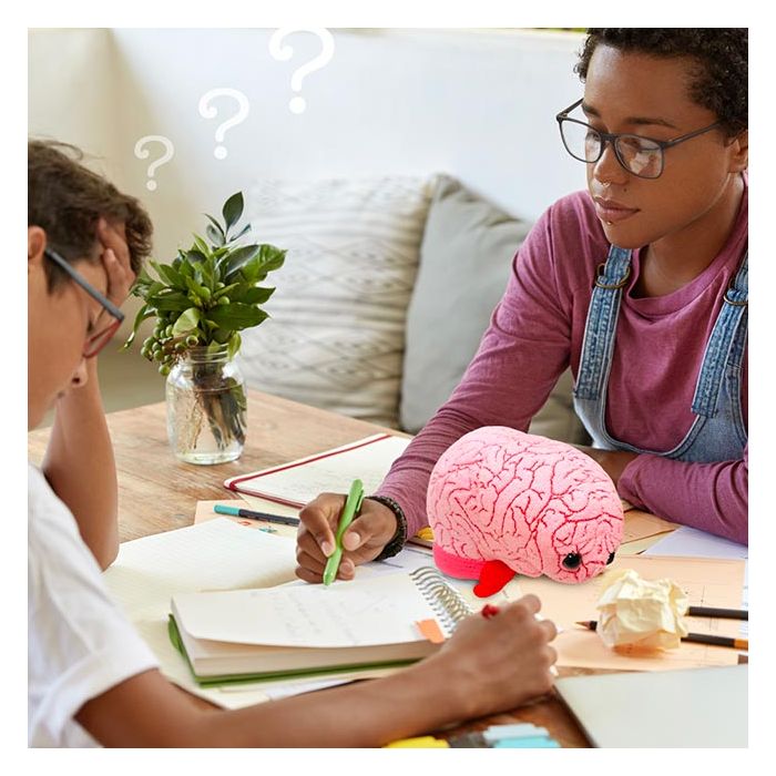 Brain problem solving