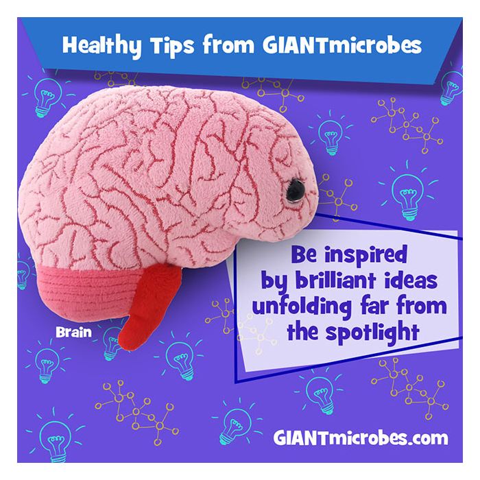 Brain healthy tip