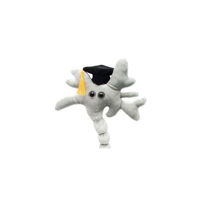 Graduation Brain close up