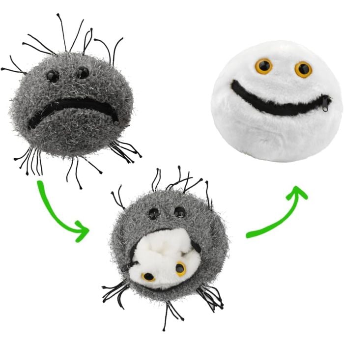 Cancer flip diagram Cancer flip diagram