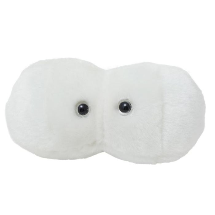 Cavity plush hi-res