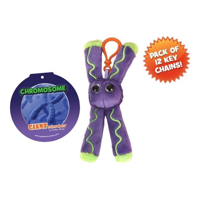 Chromosome key chain 12 pack