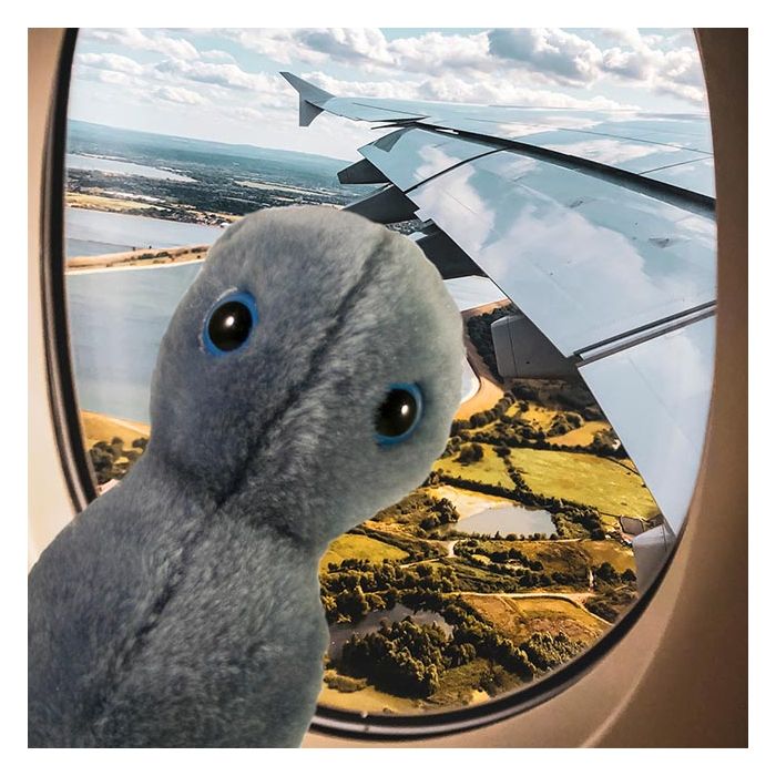 Clap on airplane