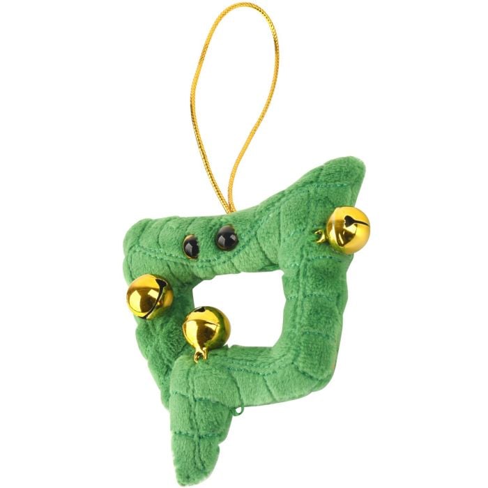 Colon ornament angle Colon ornament angle