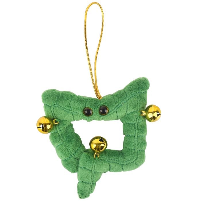 Colon ornament front Colon ornament front