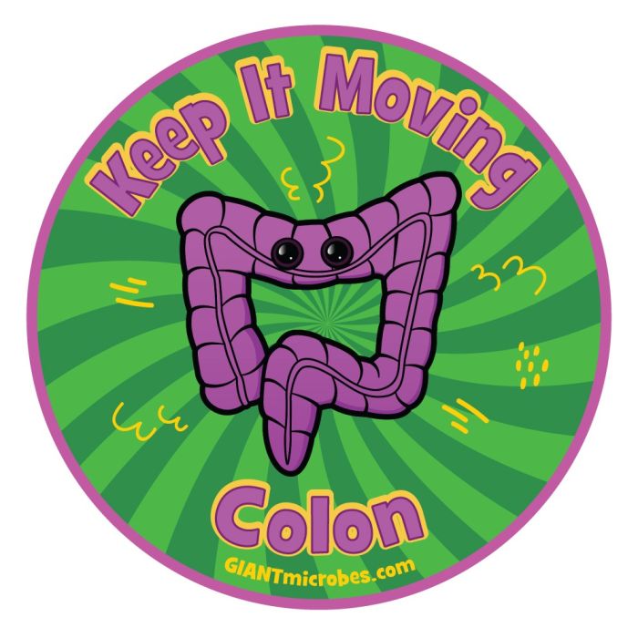 Colon vinyl sticker