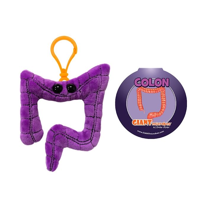Colon cluster