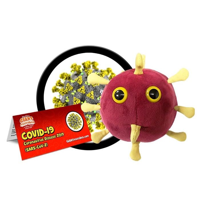 Coronavirus cluster