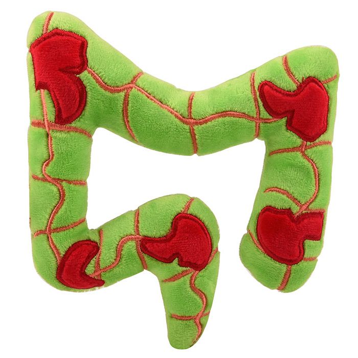 Crohn's plush back