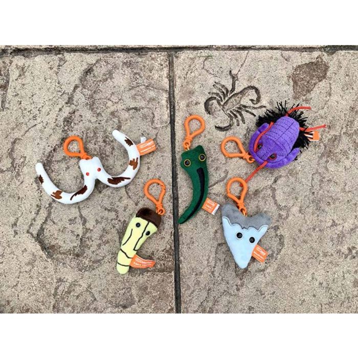 Dinosaur Fossils minis outside