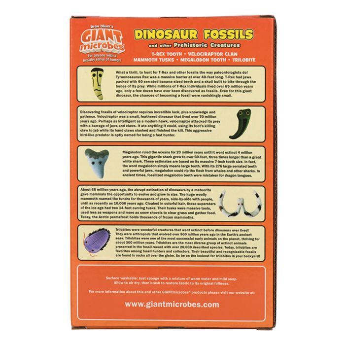 Dinosaur Fossils box back