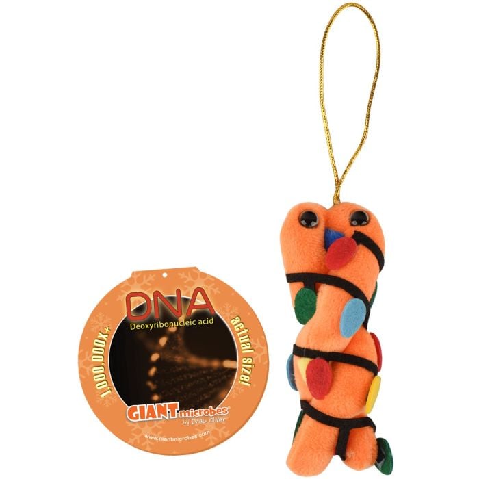 DNA ornament with hang tag