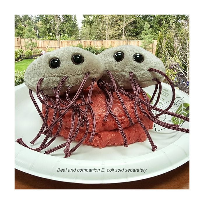 E. coli hamburgers