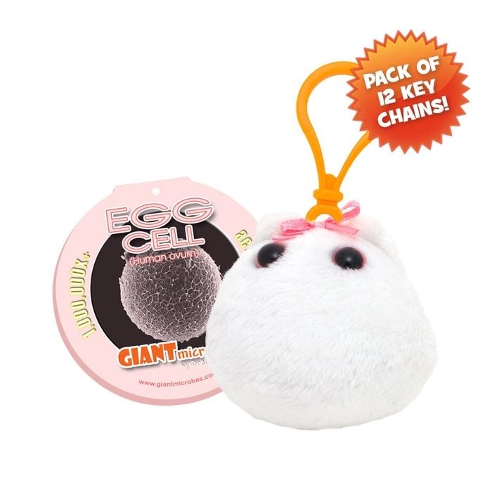 Egg Cell KC pack
