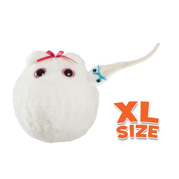 Egg Cell XL & Sperm Mini