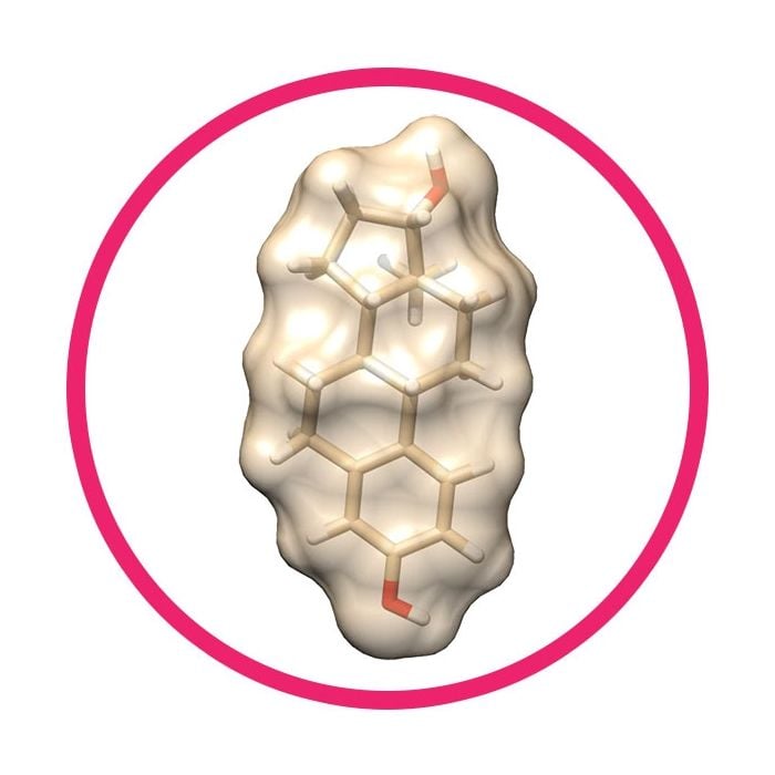 Estrogen real molecule