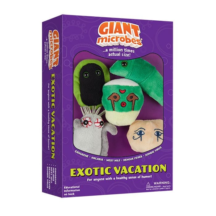 Exotic Vacation box