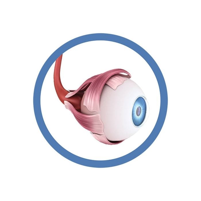 Eyeball real image