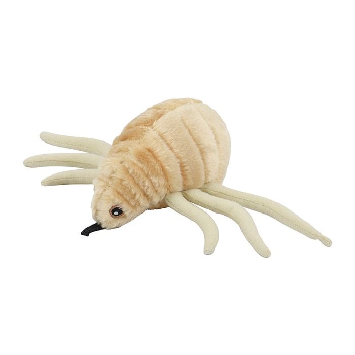 Flea plush angle