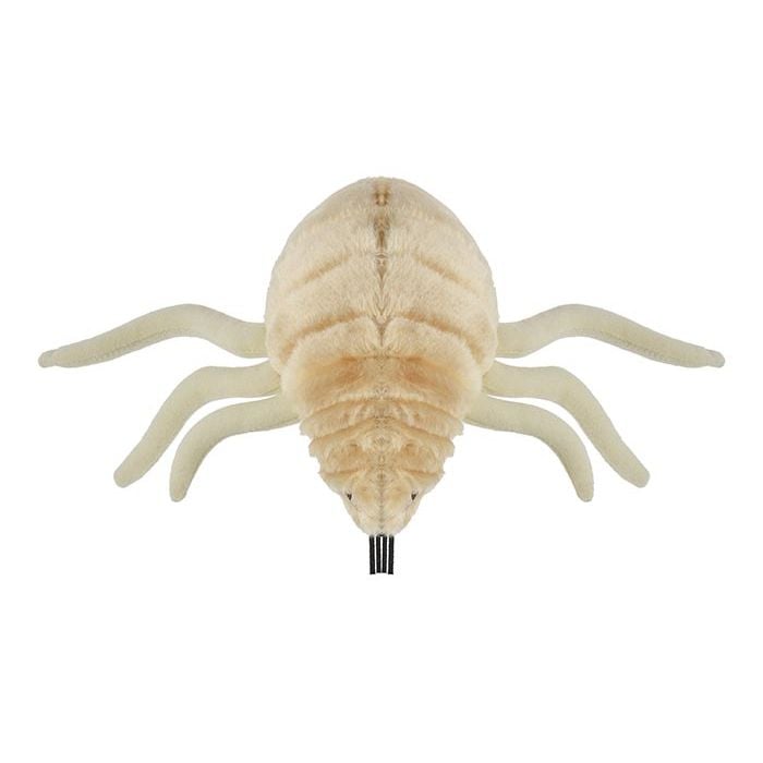 Flea plush top