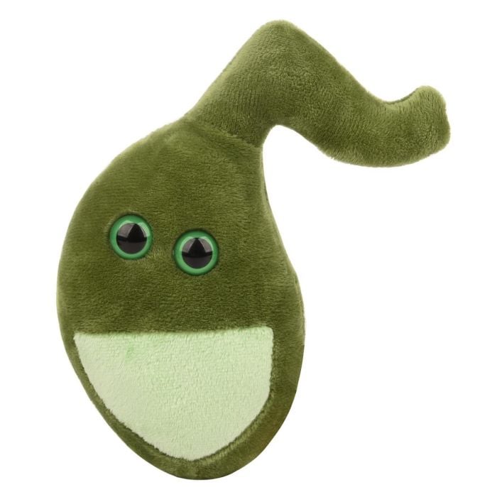 Gallbladder plush doll
