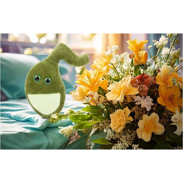 Gallbladder plush get well gift