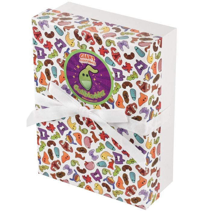 Gallbladder gift box angle