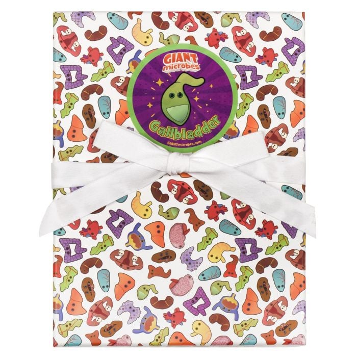 Gallbladder gift box front