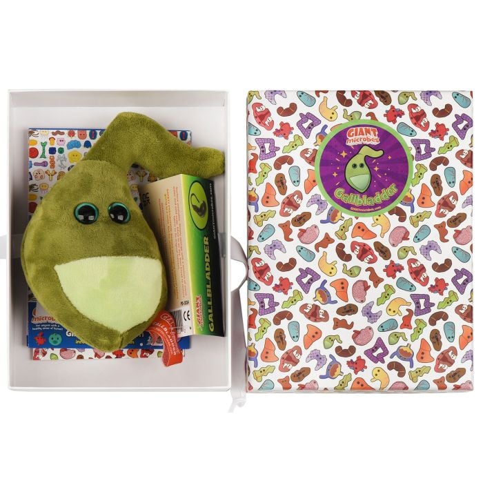 Gallbladder gift box open with plush
