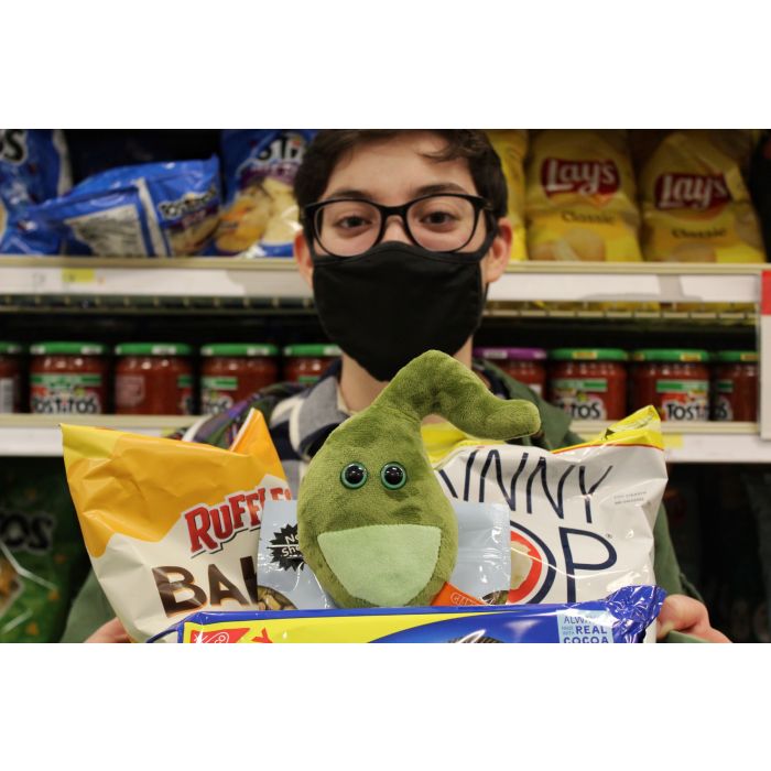 Gallbladder plush with snacks