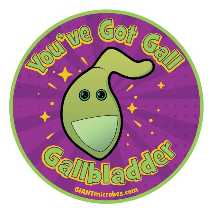 Gallbladder vinyl sticker