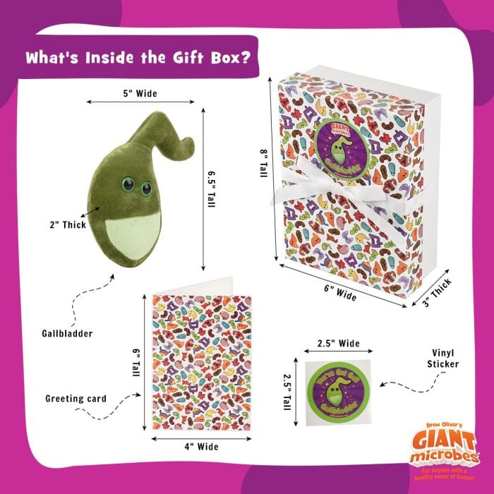 Gallbladder box full dimensions